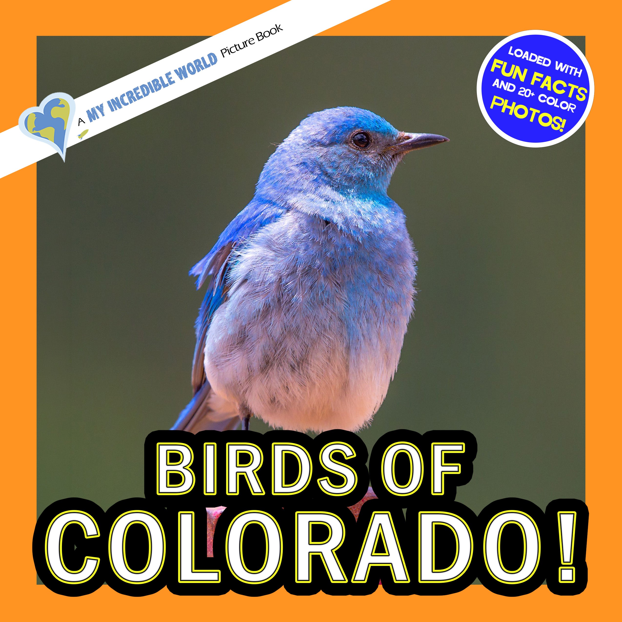 Birds of Colorado! A My Incredible World Picture Book for Children